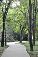 8/26/2012 WalkAndBark